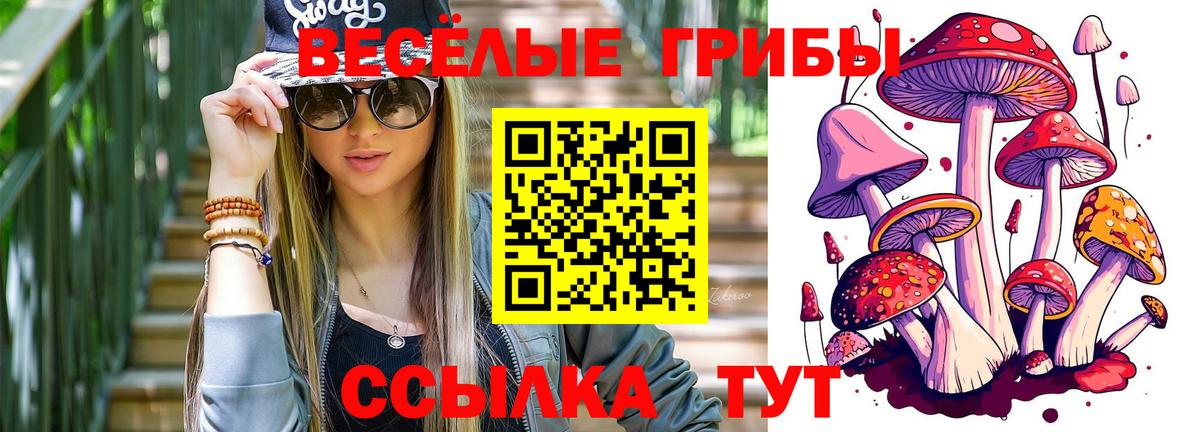 Галлюциногенные грибы ЛСД  купить наркотик  Лесозаводск  Вход с VPN 